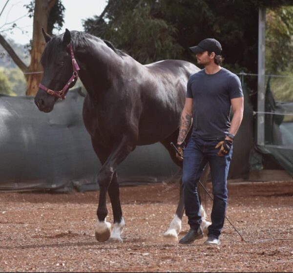 Yoann Levesque Clinic - Saturday 11th October 2026